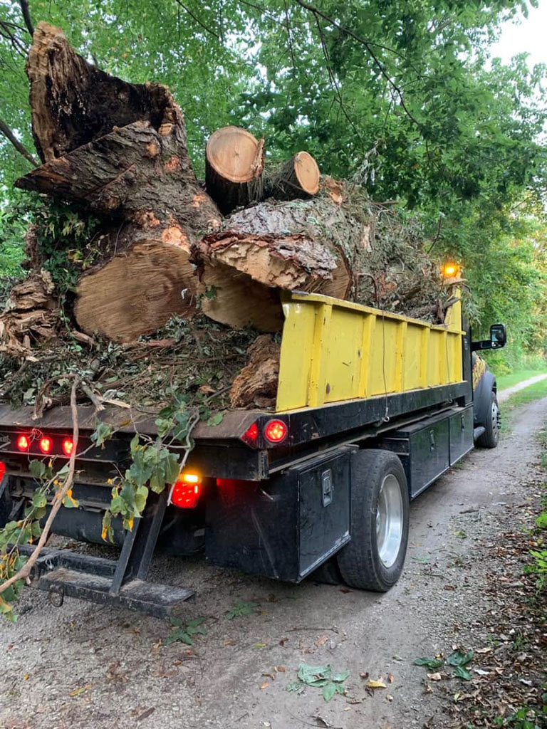 A dump truck loaded with large tree trunks and branches is parked on a gravel road beside greenery.